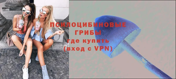 бошки Абаза