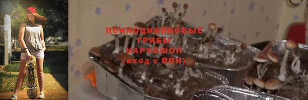 мяу мяу мука Абинск