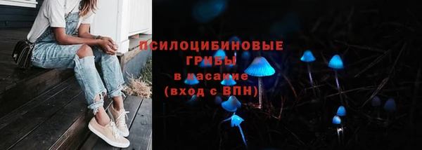 mdpv Магас