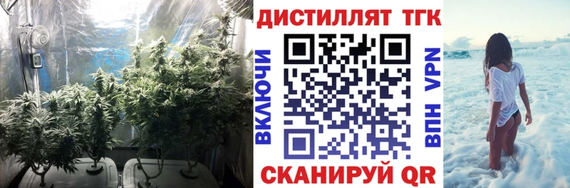 ТГК вейп  omg как зайти  Химки 