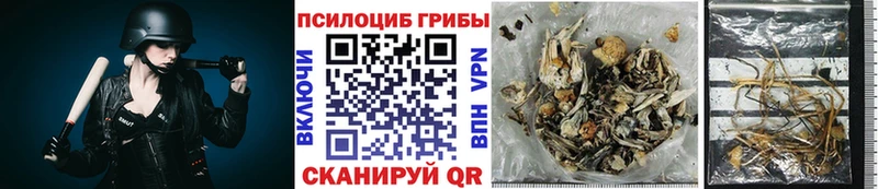 Псилоцибиновые грибы GOLDEN TEACHER  Химки 